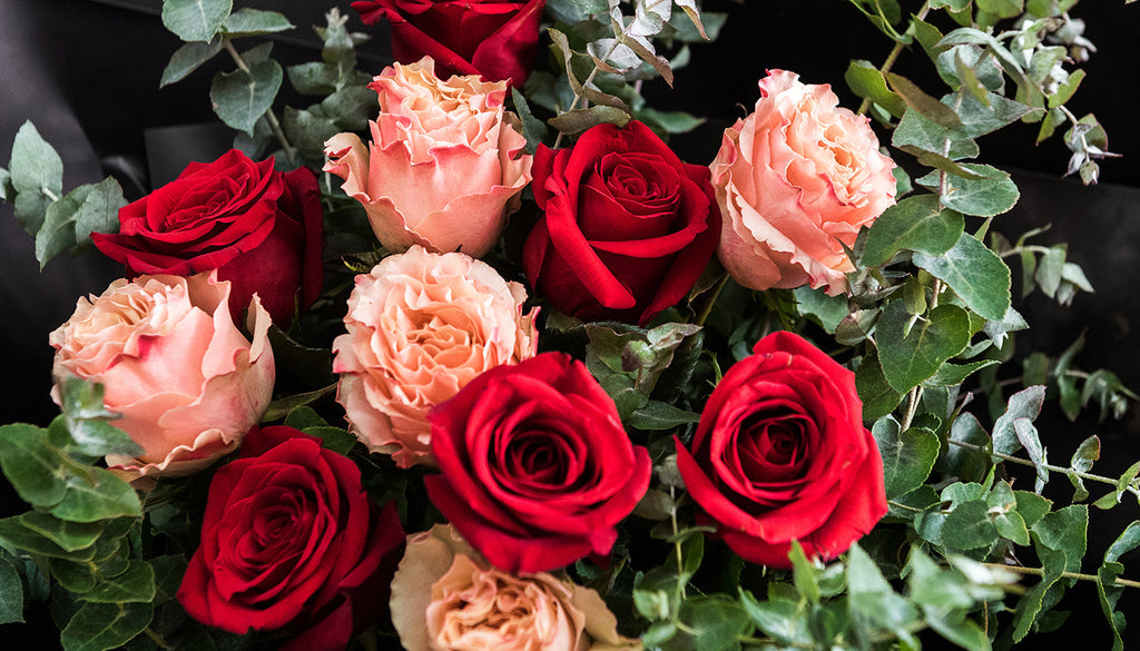 Our top 6 tips for Valentines Day