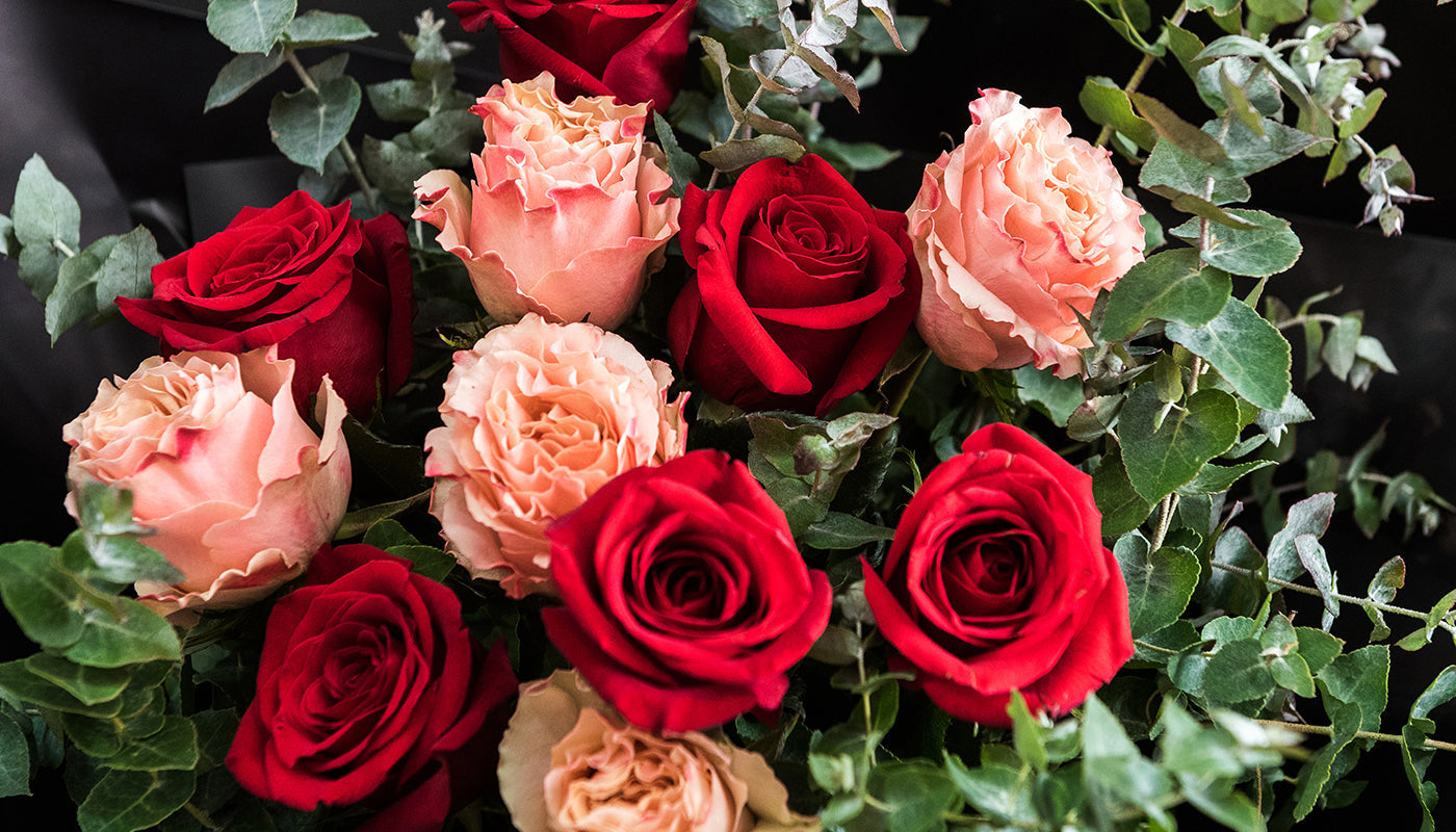 Our top 6 tips for Valentines Day
