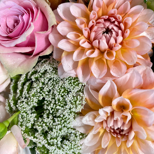 Northside Drive Roses New - Northside Flower Market