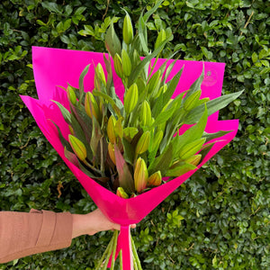 Bouquet of Oriental lilies wrapped in pink paper held against a green hedge.