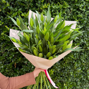 Person holding a bouquet of Oriental lilies against a green hedge