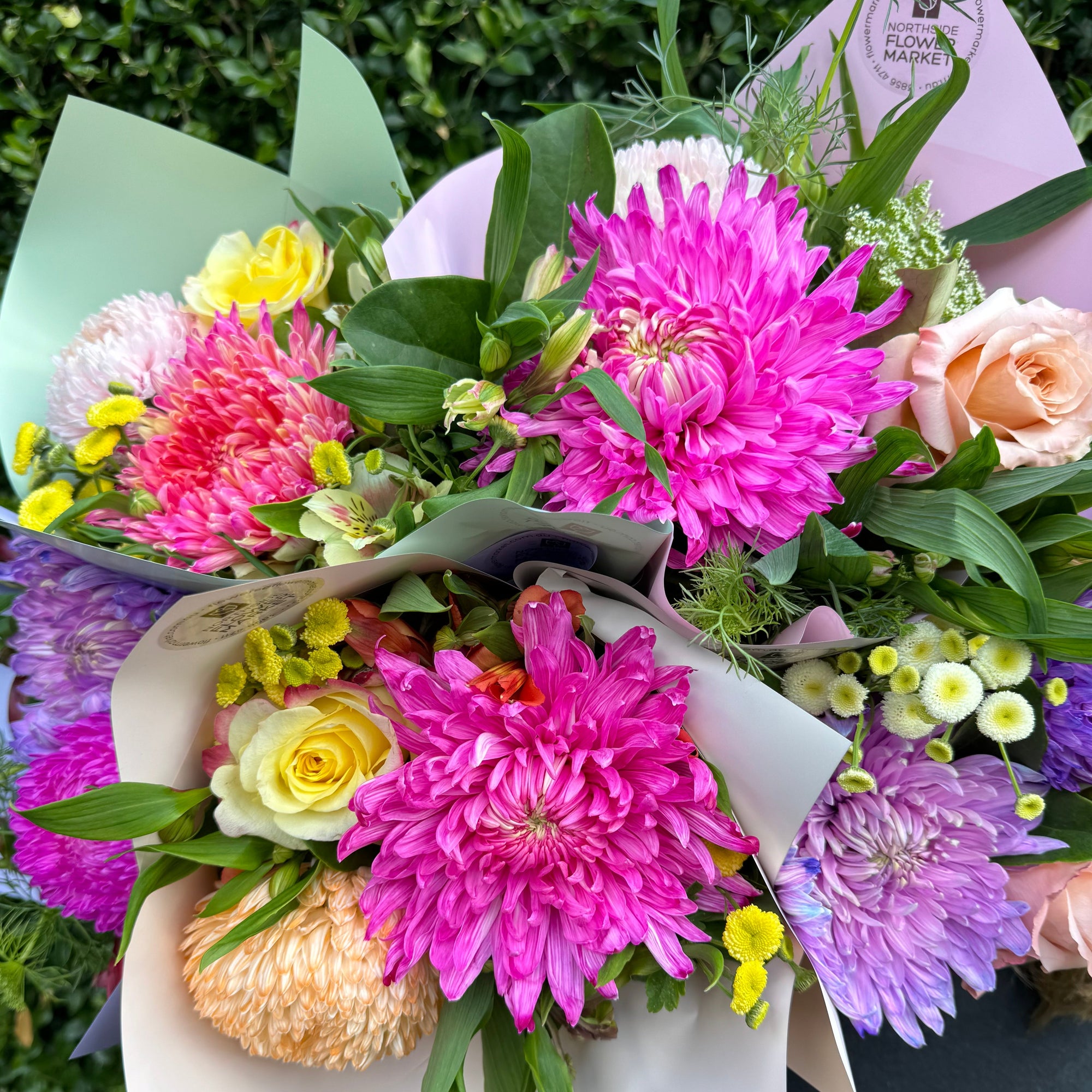 DAILY POSY Northside Flower Market