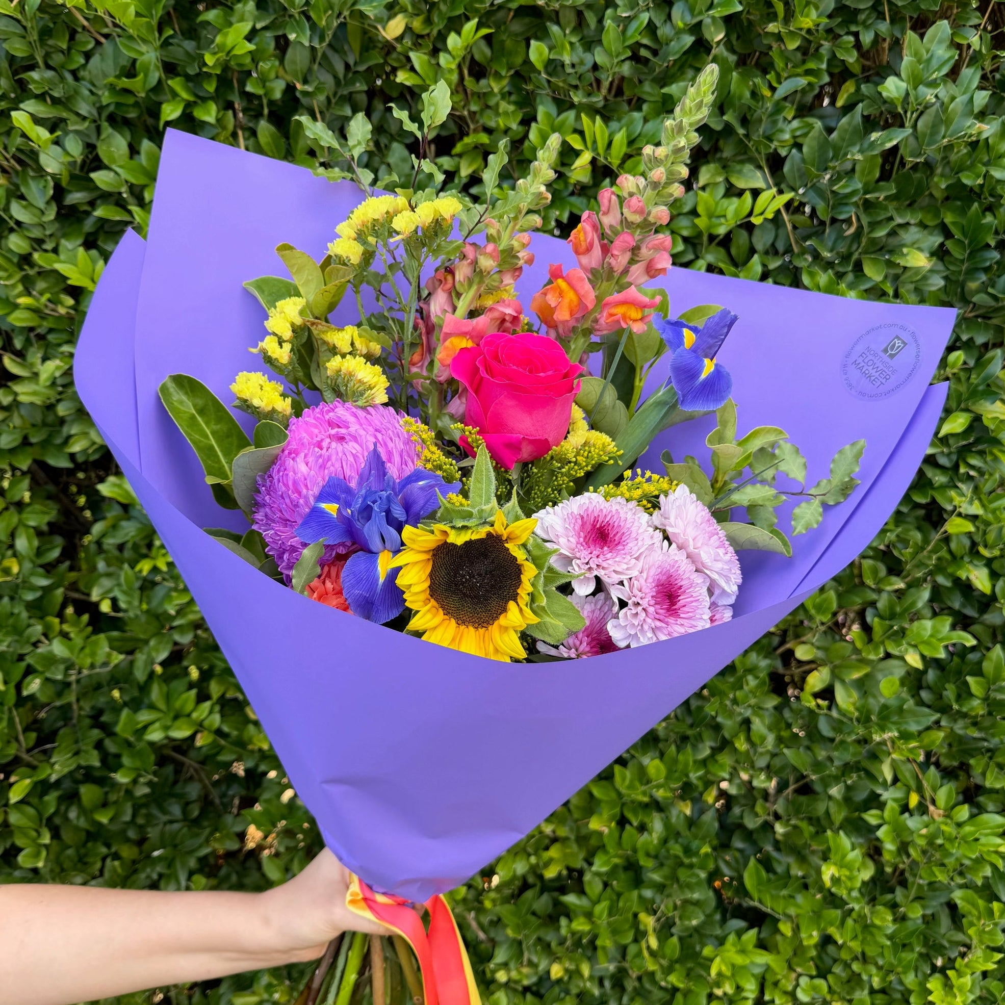 Bouquet of colorful flowers wrapped in purple paper held against a green hedge.