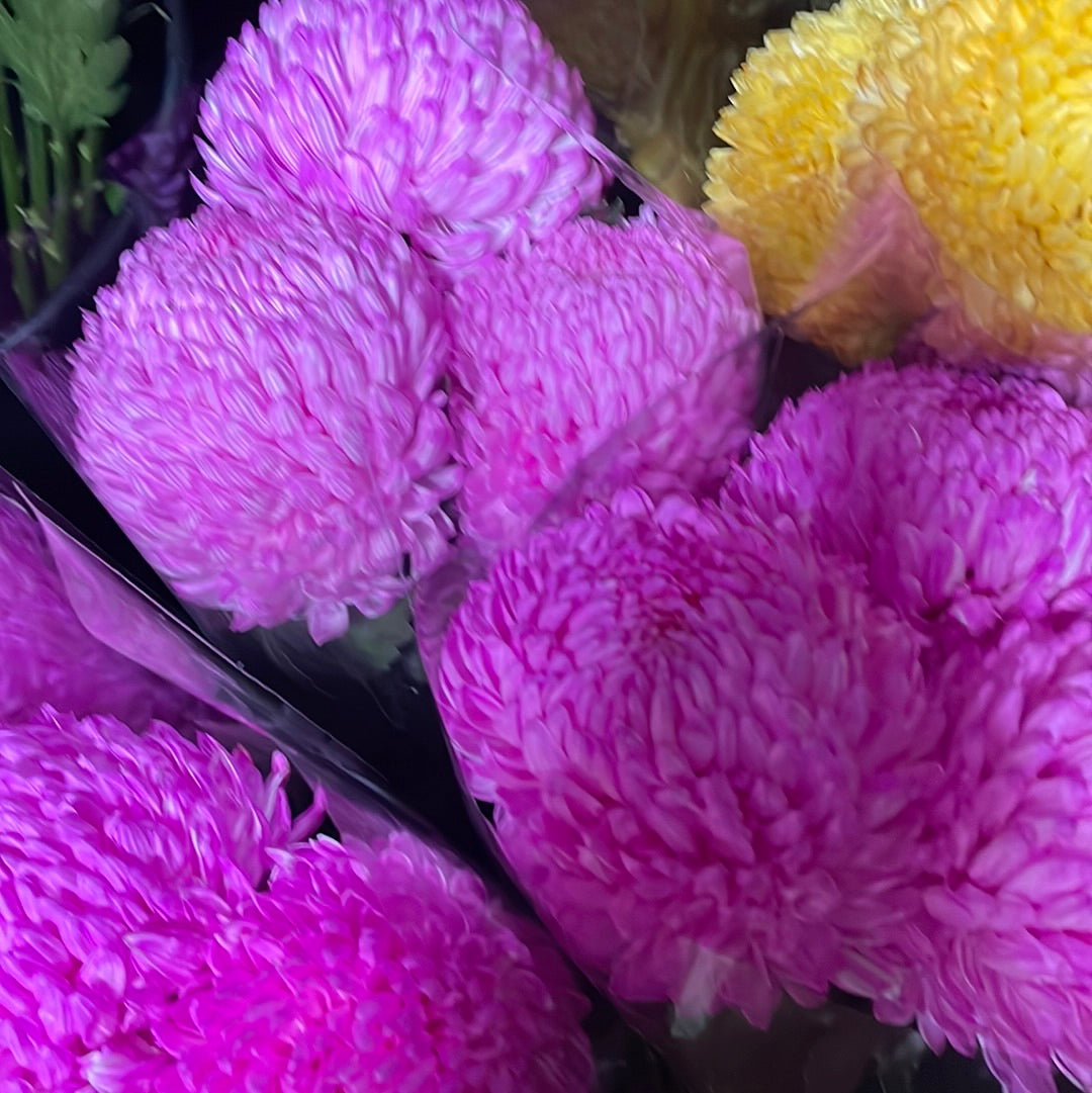 FRESH DISBUD BUNCHES (POMS)