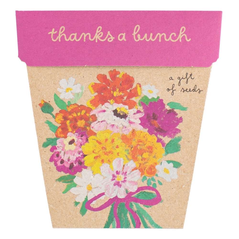 SOW 'N SOW GIFT OF SEEDS