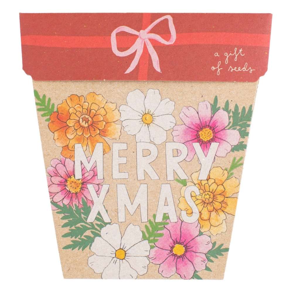 SOW 'N SOW GIFT OF SEEDS