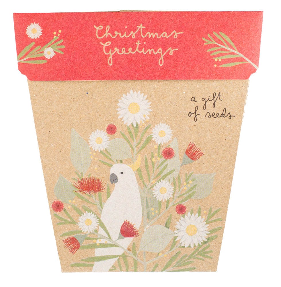 SOW 'N SOW GIFT OF SEEDS