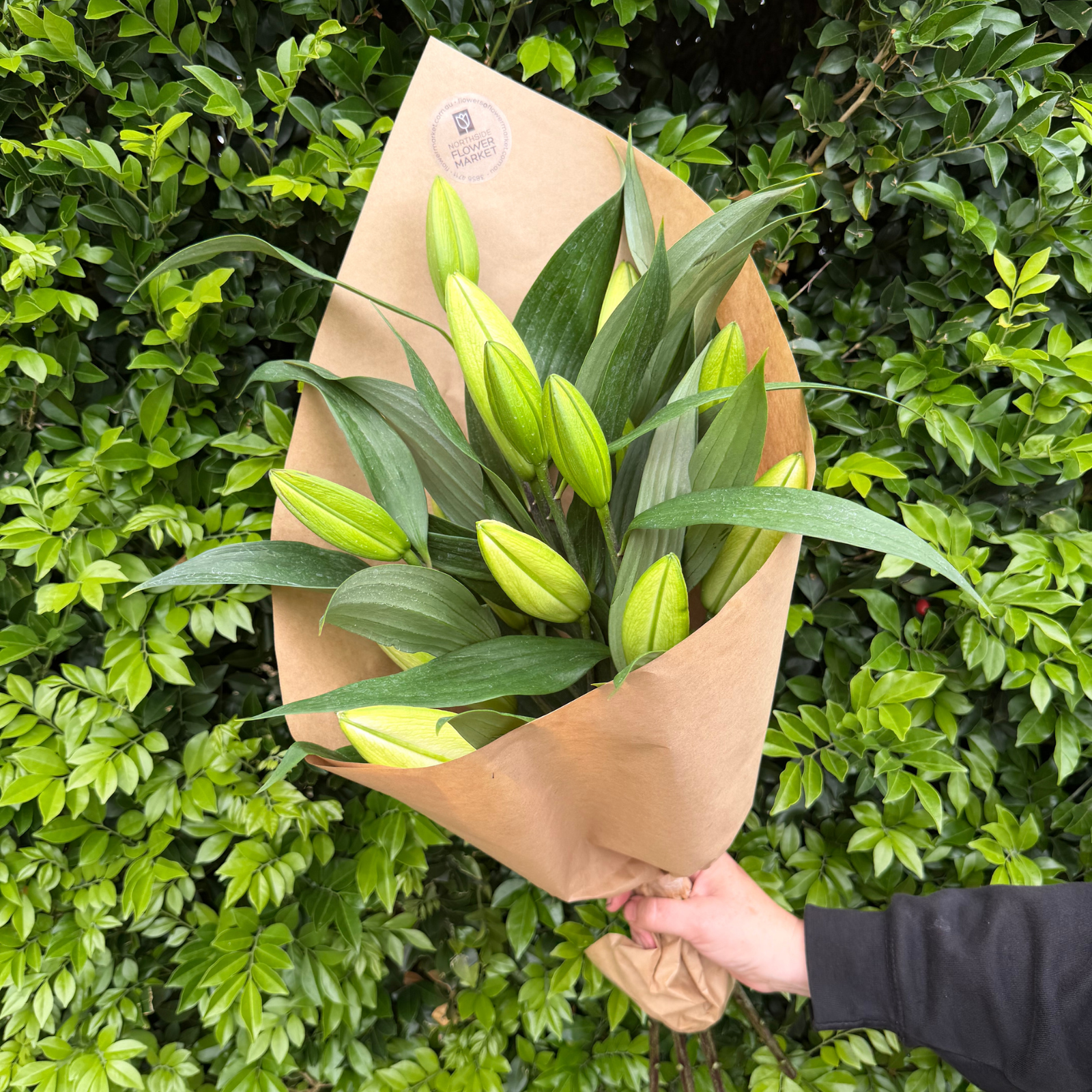 FRESH LILY BUNCHES