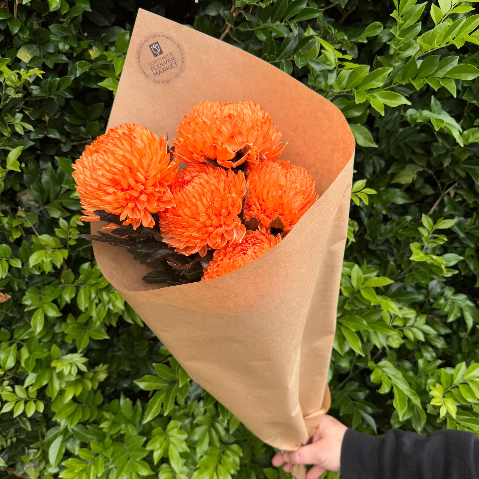 FRESH DISBUD BUNCHES (POMS)