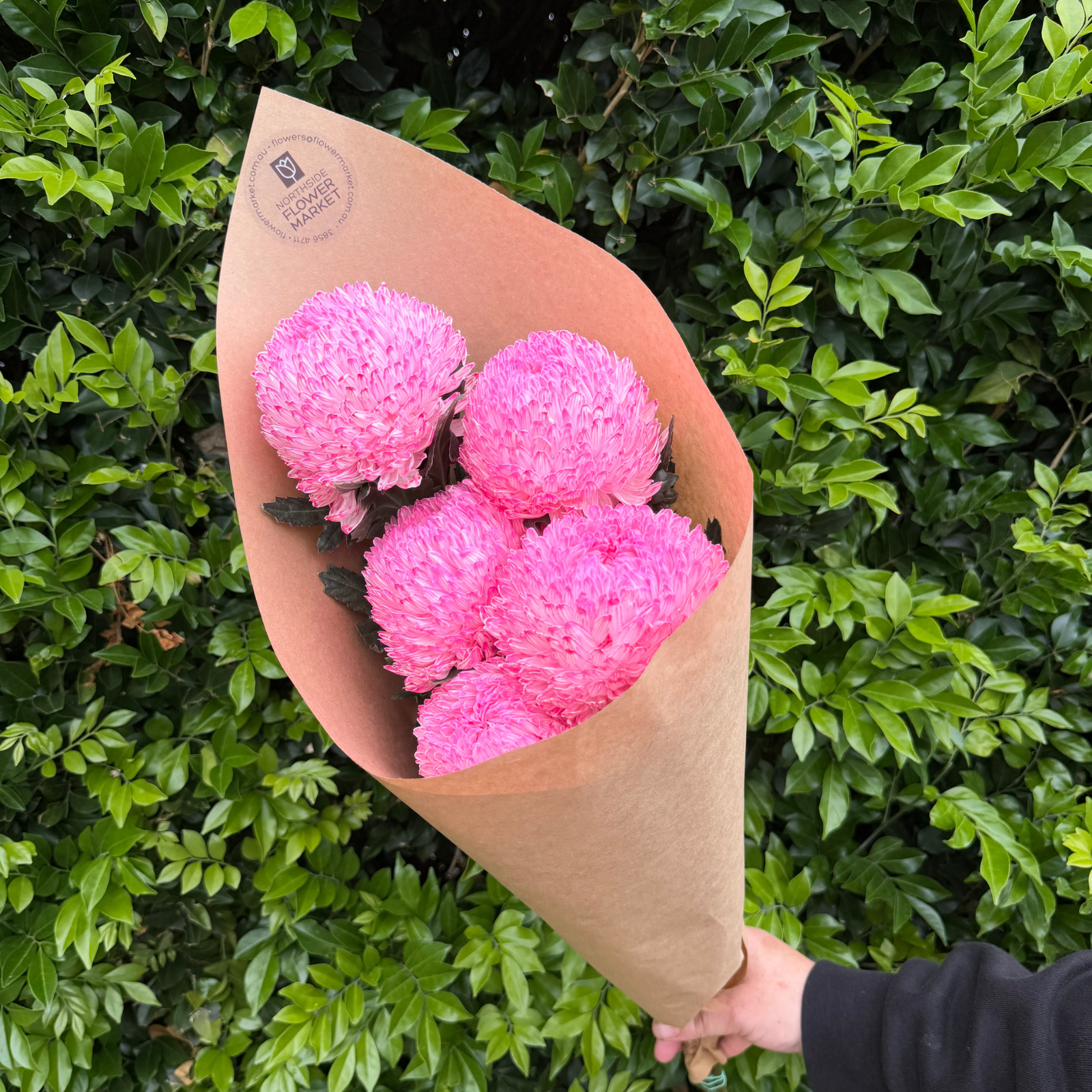 FRESH DISBUD BUNCHES (POMS)