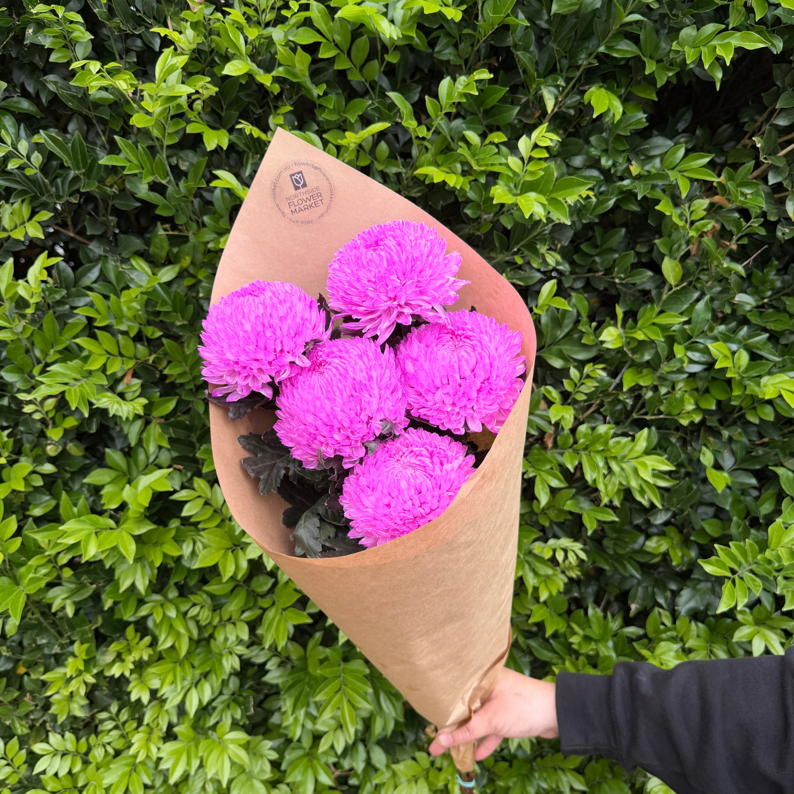FRESH DISBUD BUNCHES (POMS)