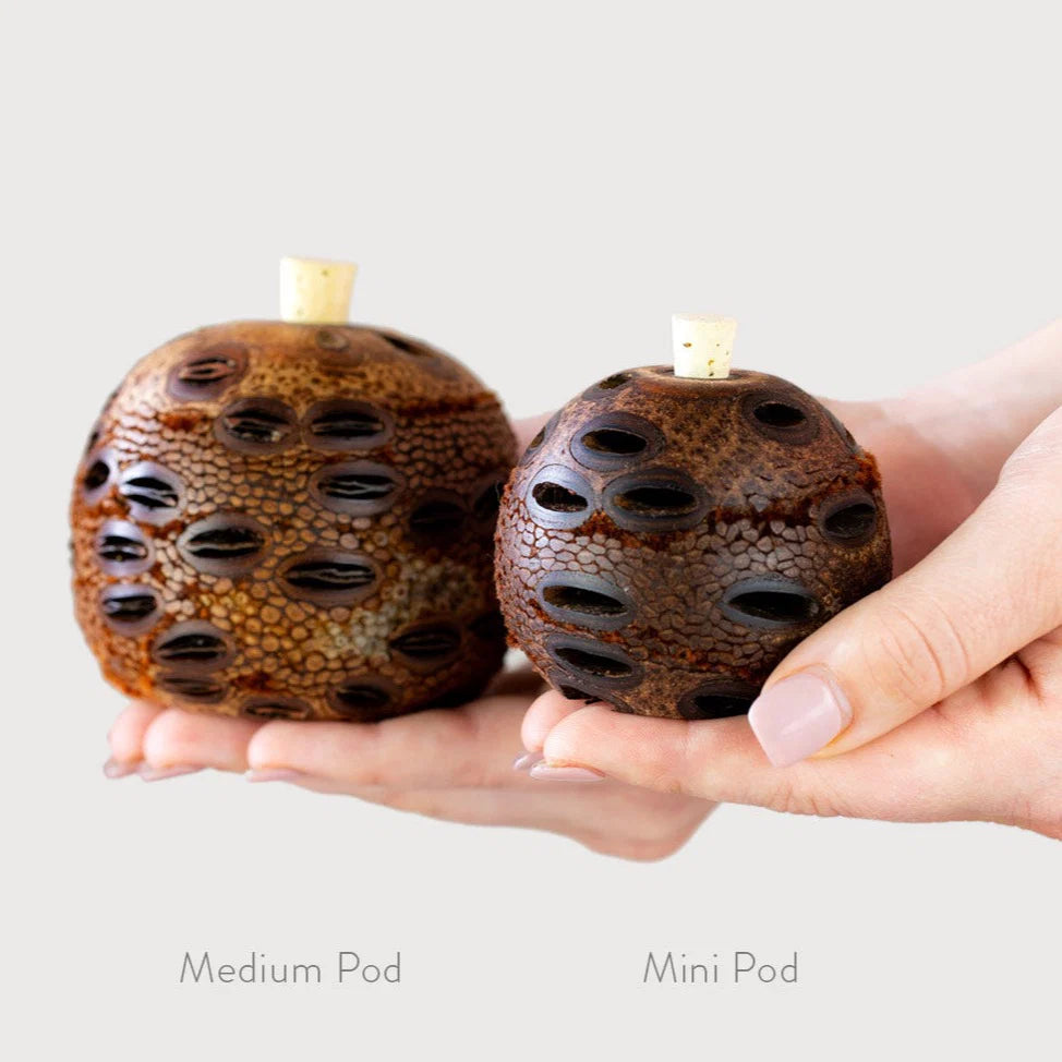 Mini Aroma Pod Diffuser