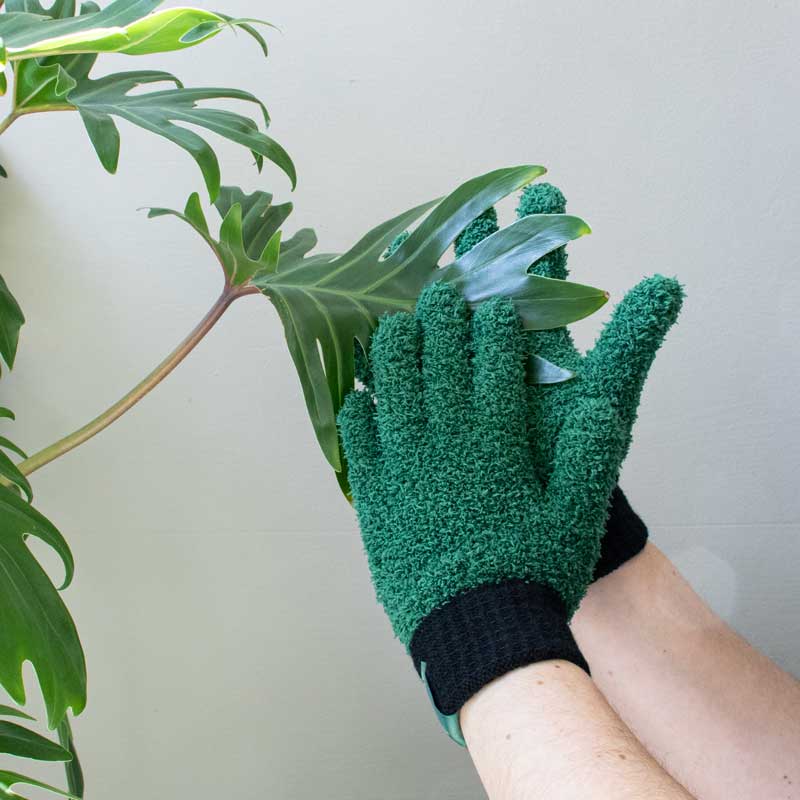 PLANT RUNNER LEAF LOVE GLOVES