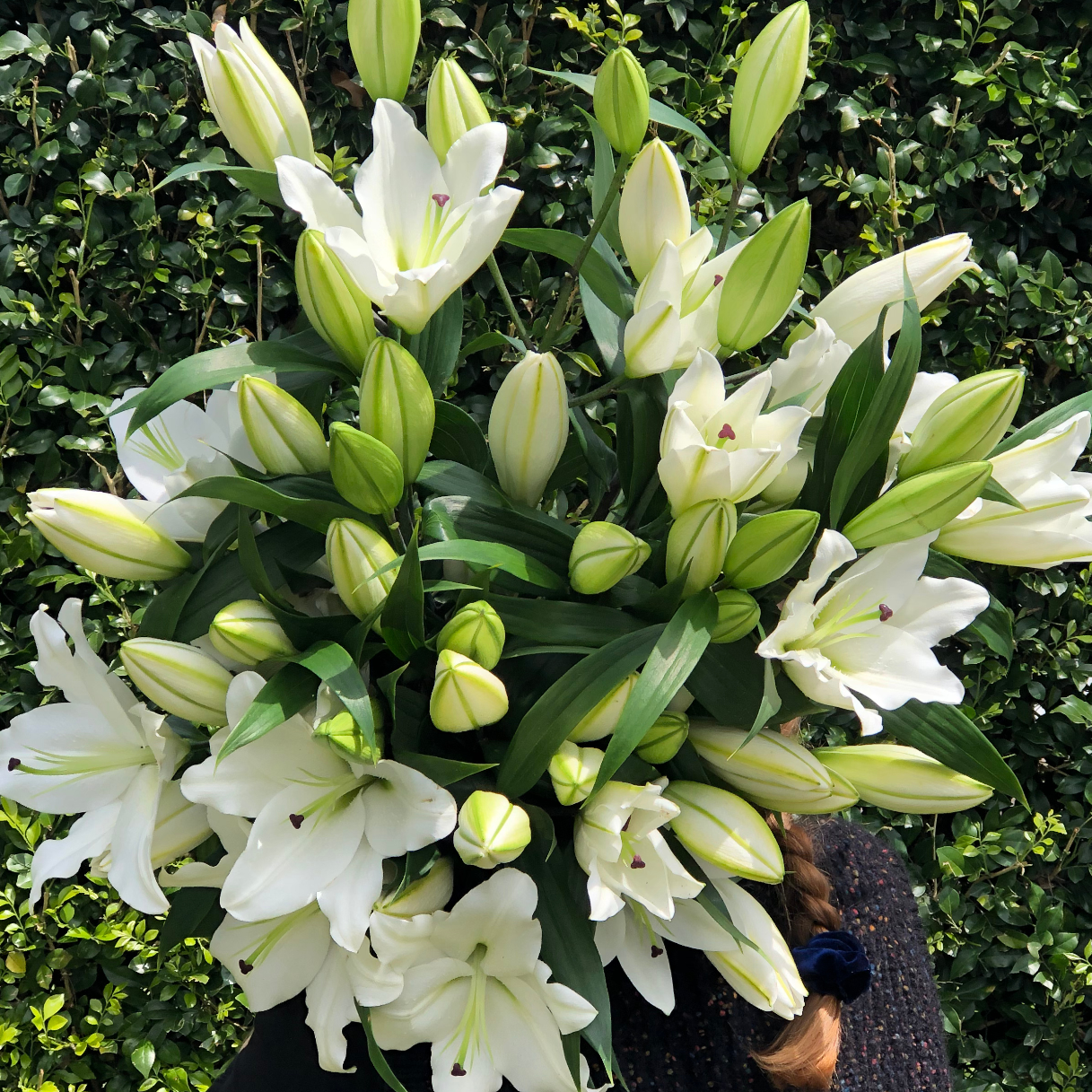 ORIENTAL LILY BUNCH - 5 Stems