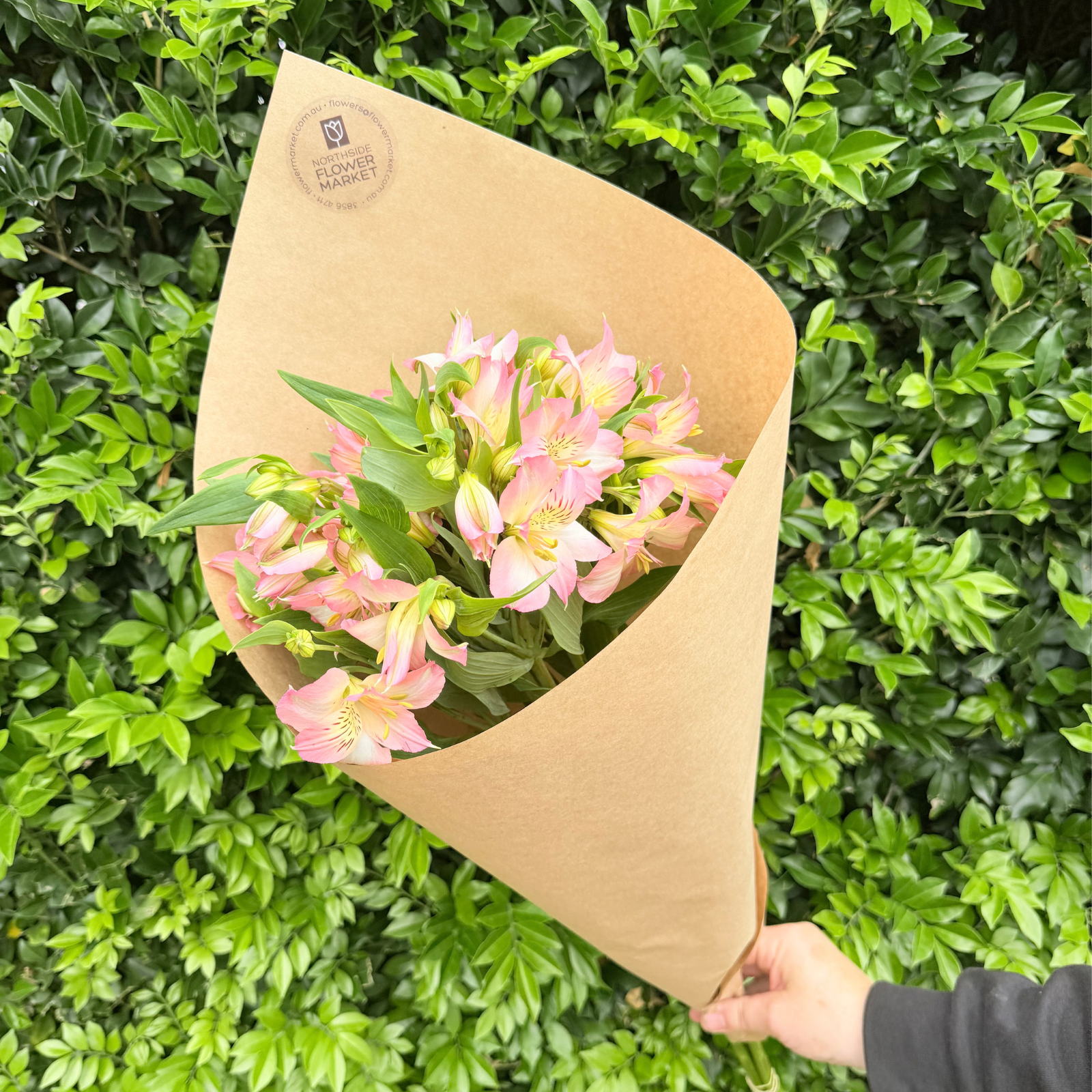 FRESH ALSTROMERIA BUNCHES