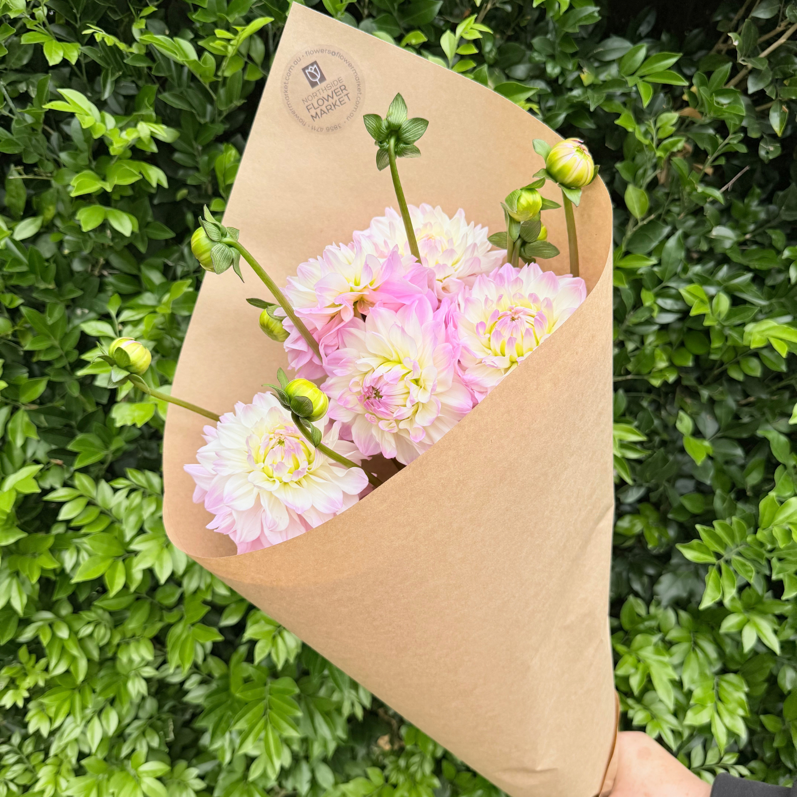 FRESH DAHLIA BUNCHES