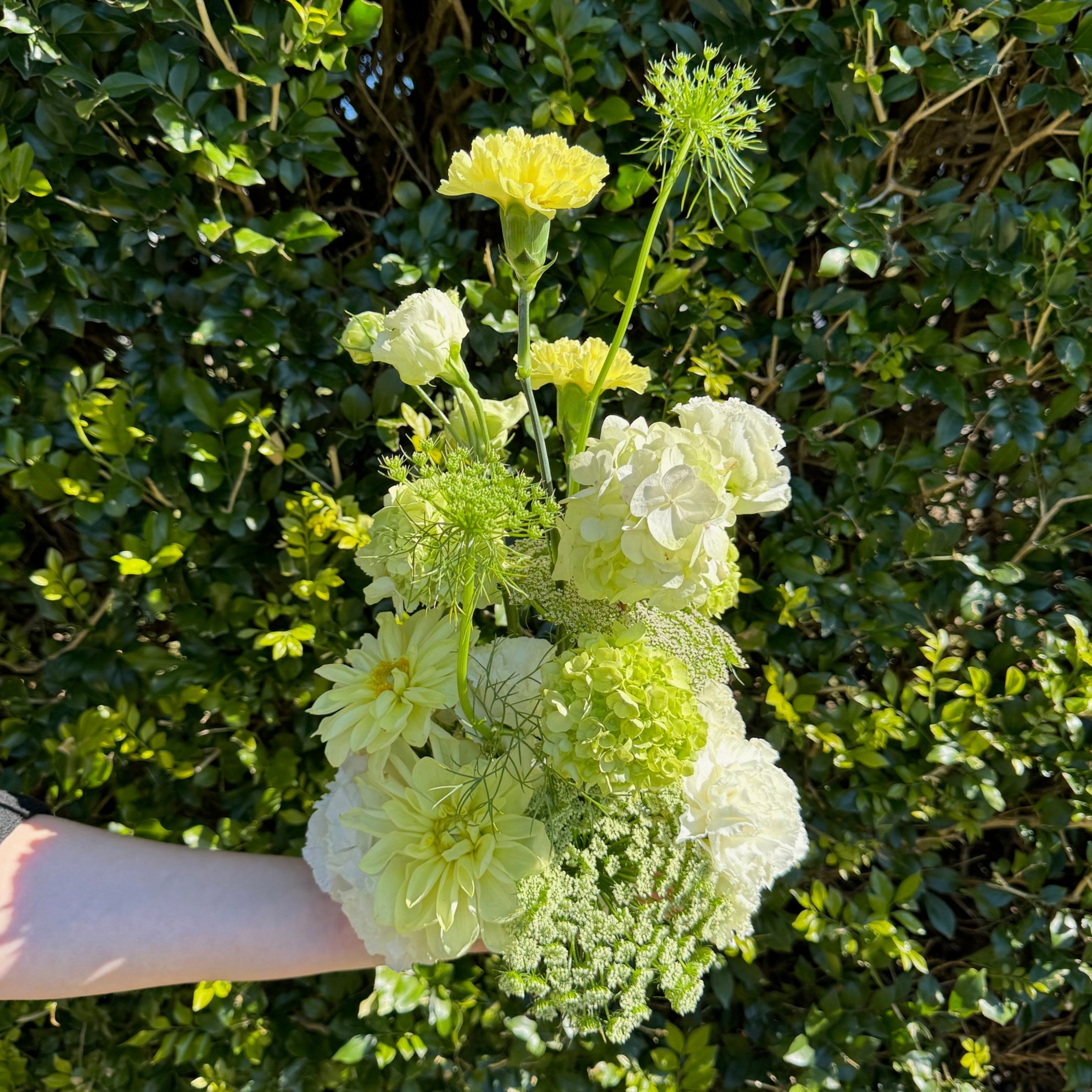 LEMON SORBET FLOWER CLOUD