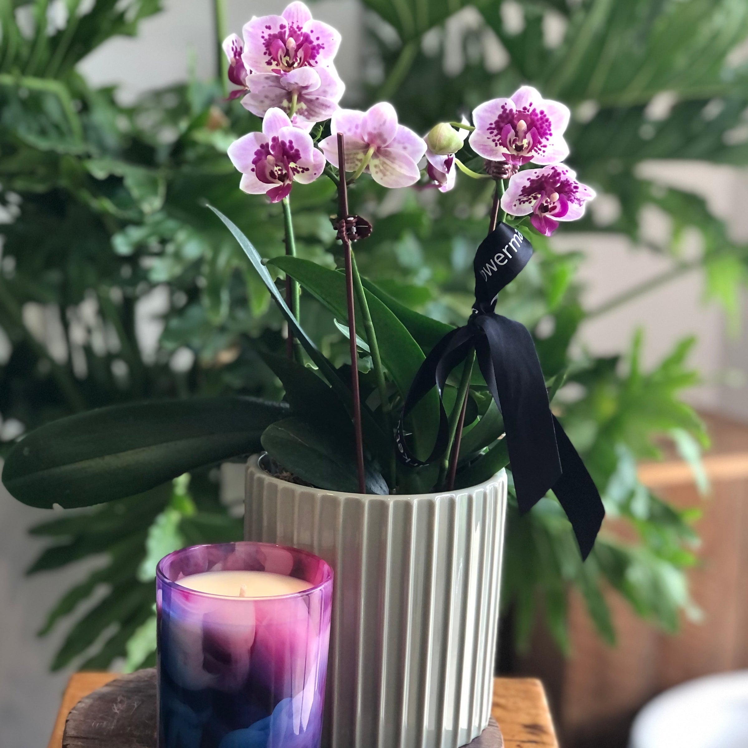 Gifts Brisbane Northside Flower Market