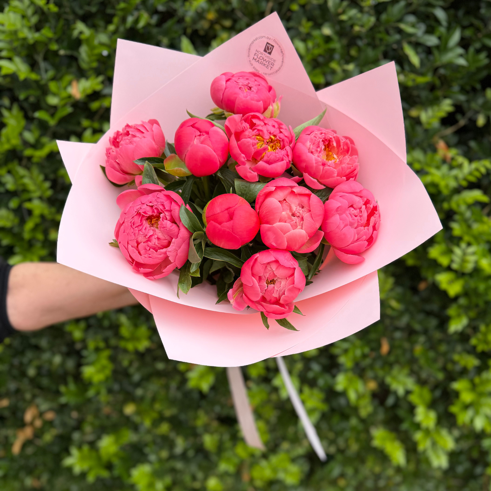 PEONY MARKET WRAPS