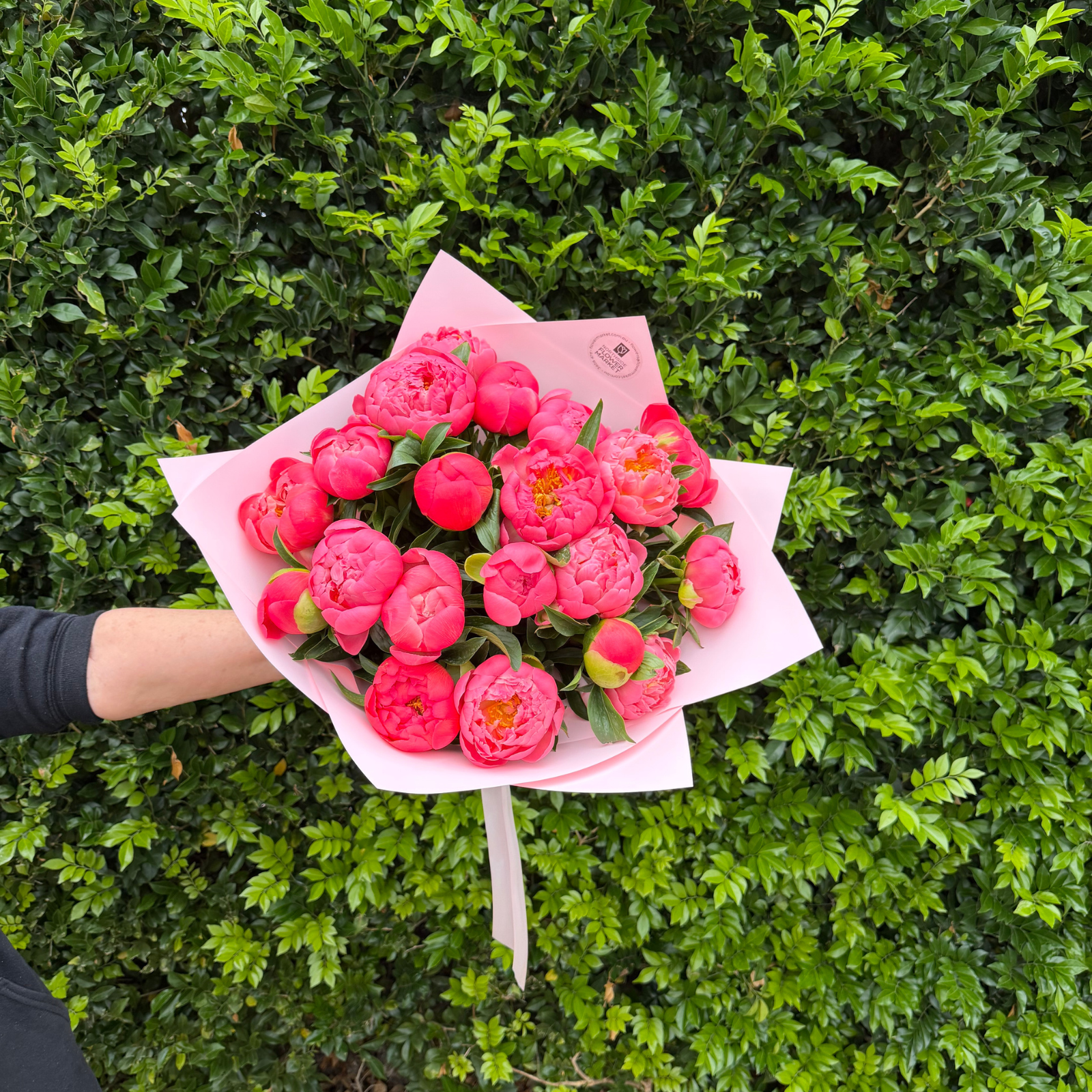 PEONY MARKET WRAPS