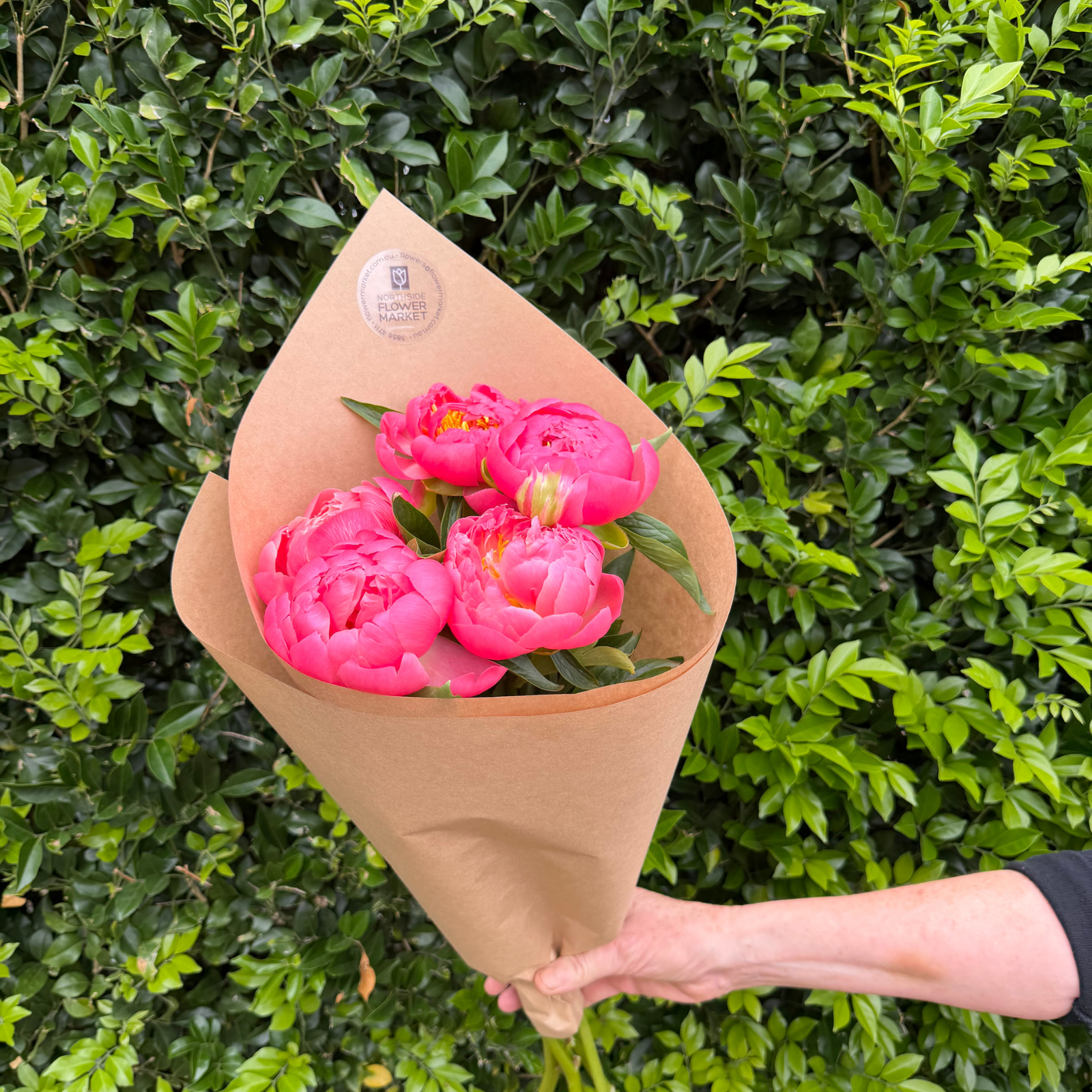 FRESH PEONY BUNCH