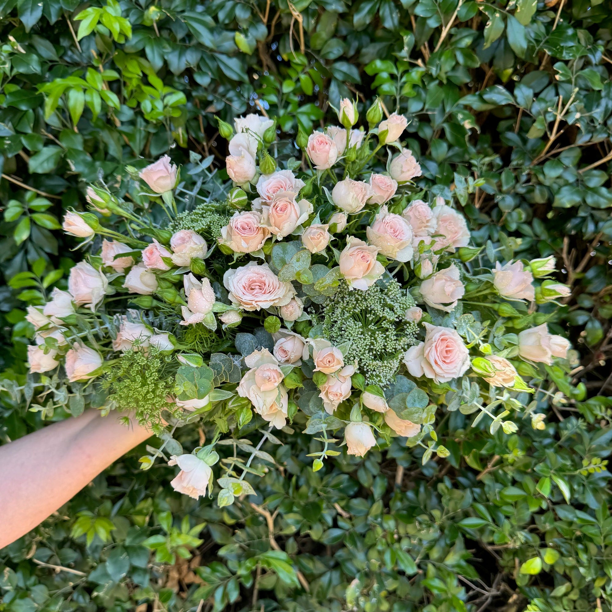 PETITE CASKET SPRAY - SPRAY ROSE