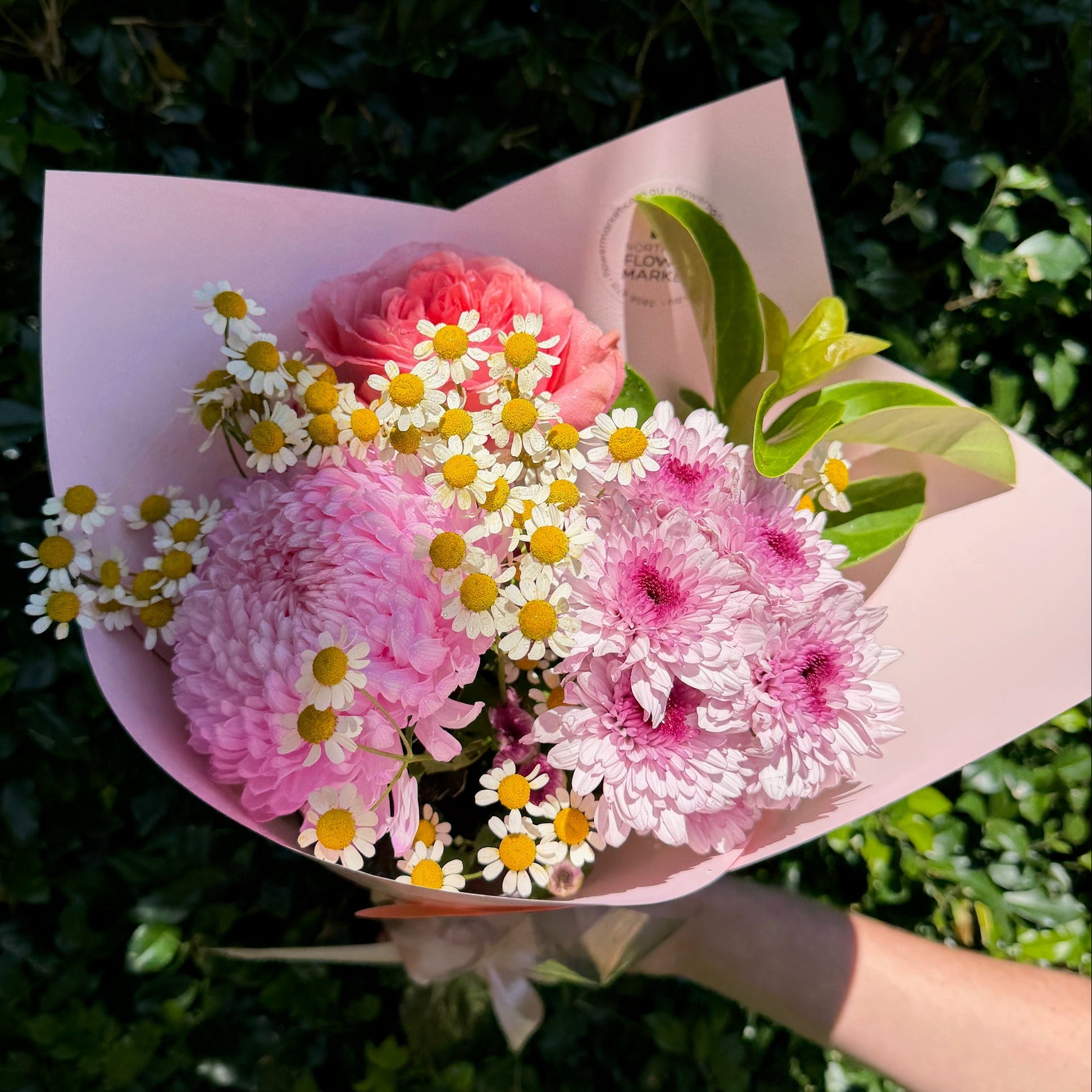 POM POSY