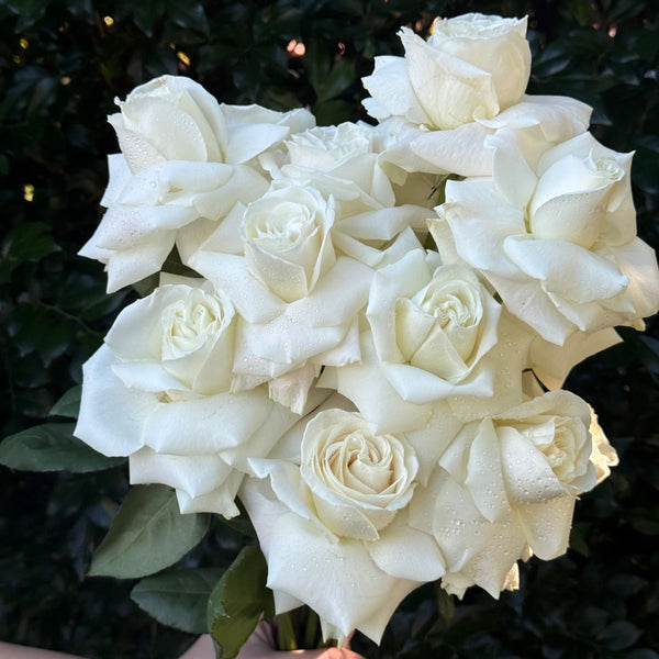 WHITE REFLEXED ROSE WEDDING BOUQUET - Northside Flower Market