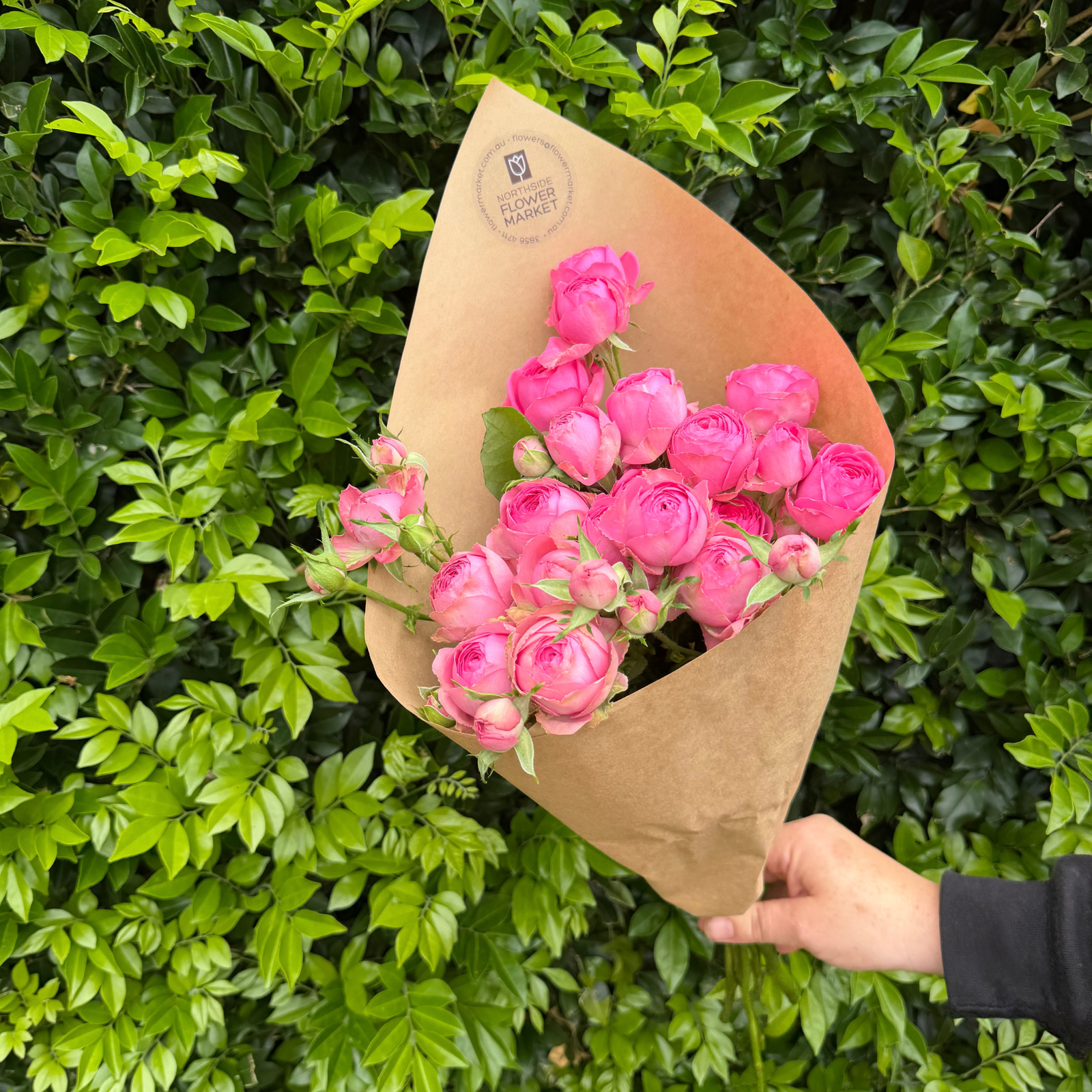 FRESH SPRAY ROSE BUNCHES
