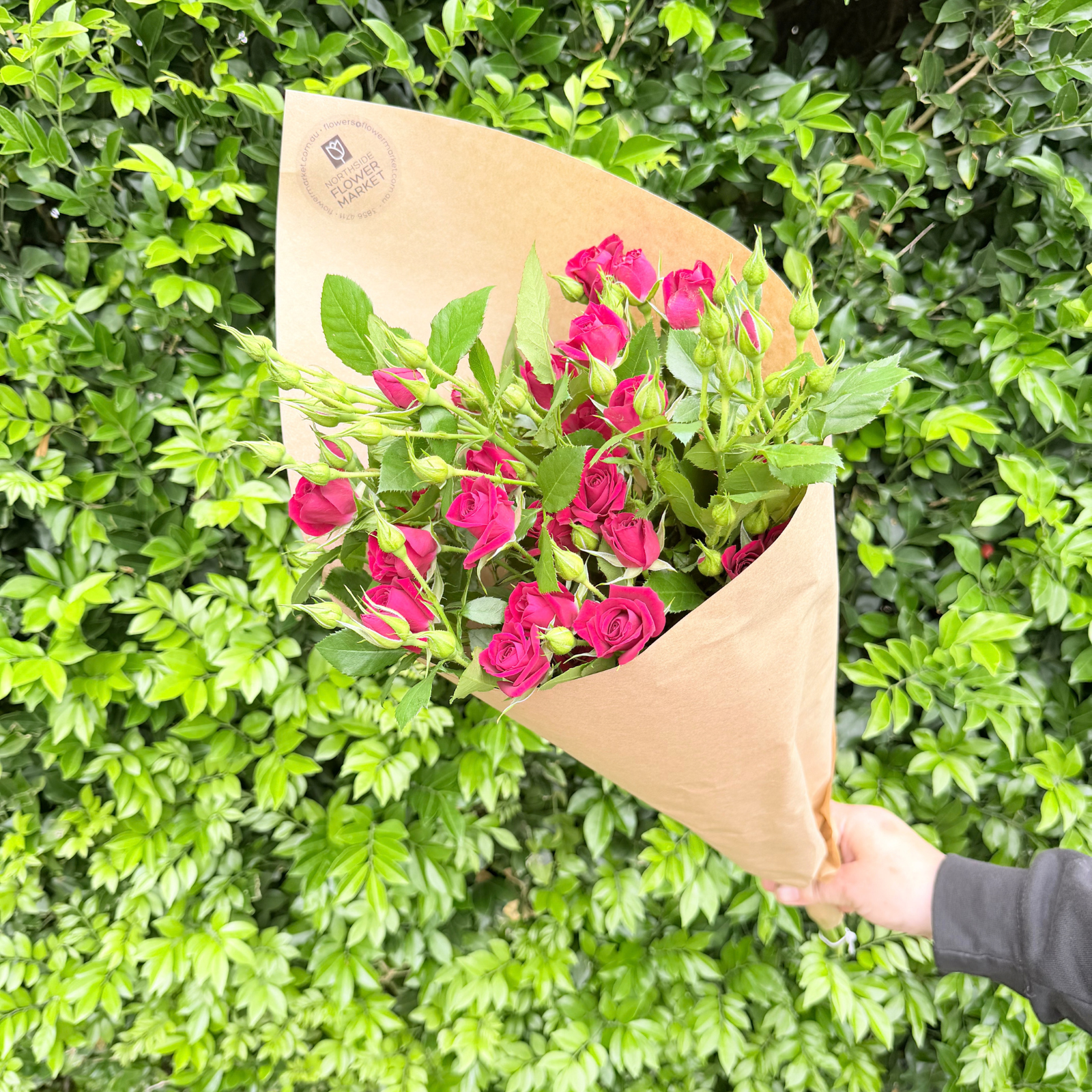 FRESH SPRAY ROSE BUNCHES