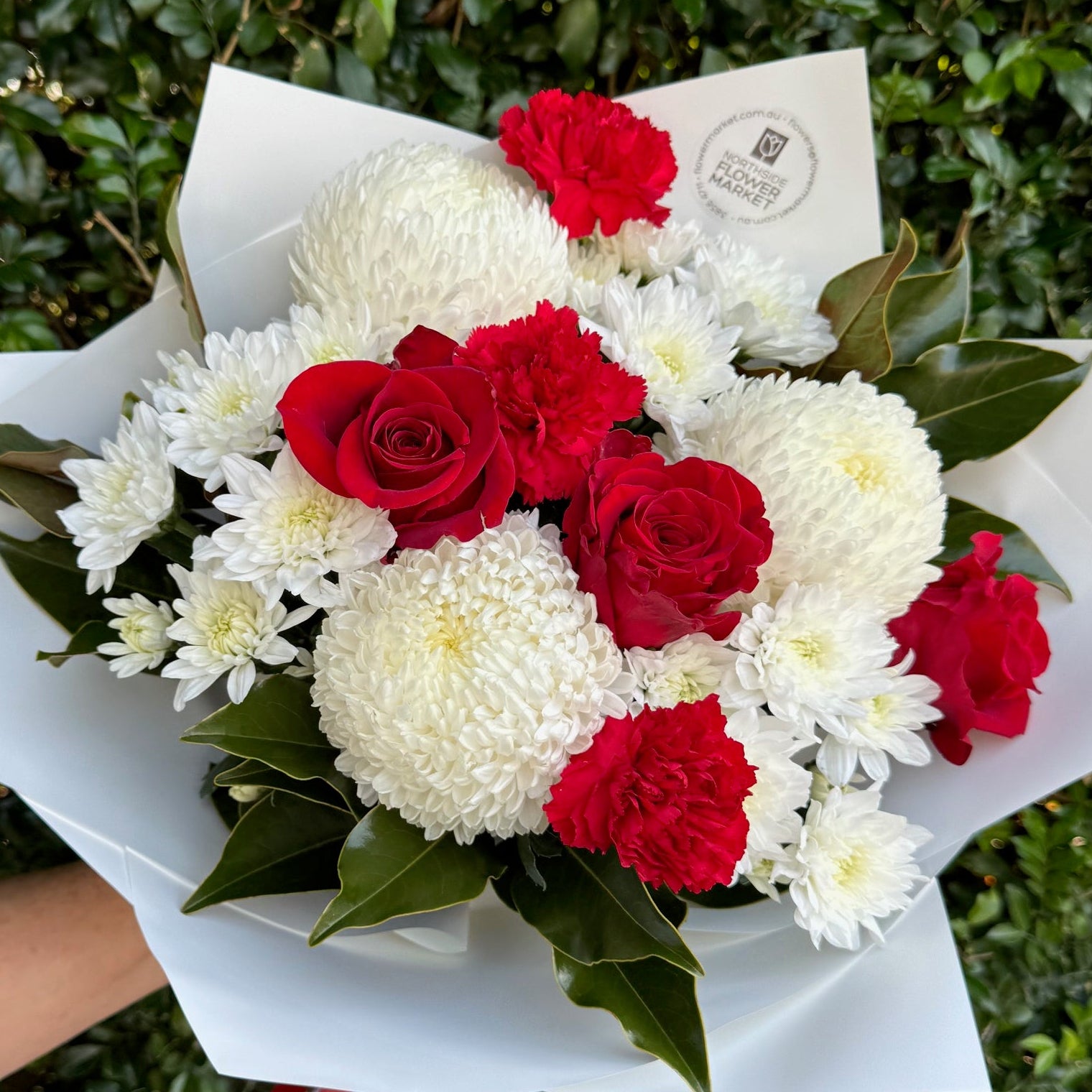 POM POSY MEDIUM - CHRISTMAS