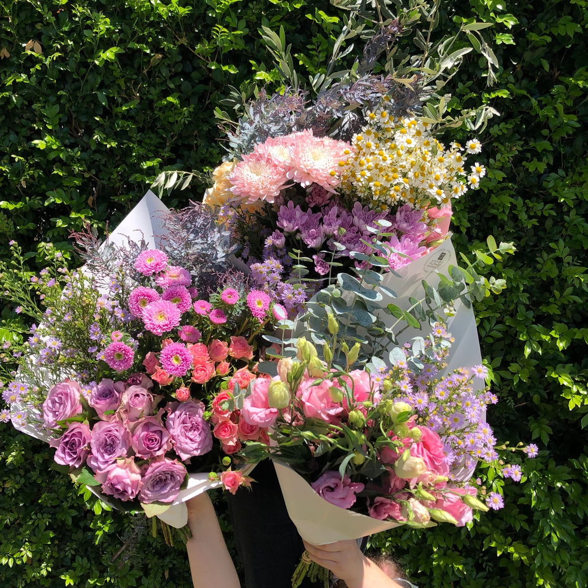 Market Flowers Brisbane Northside Flower Market
