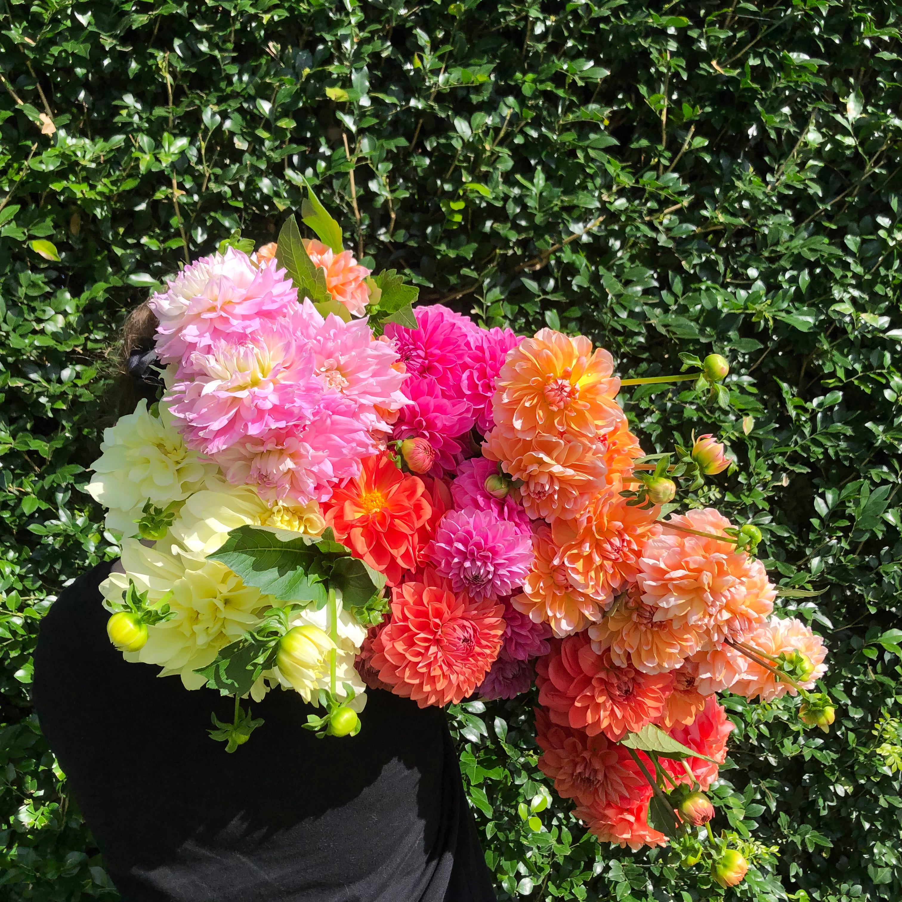 Market Flowers Brisbane Northside Flower Market